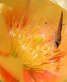 Austin Prints For Sale